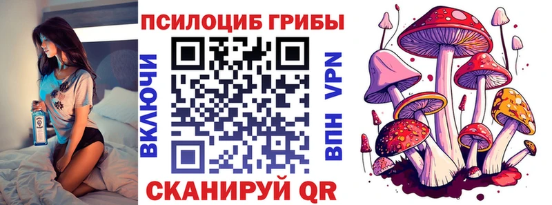 Псилоцибиновые грибы Cubensis Няндома